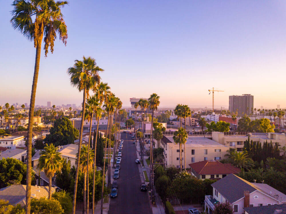 Insurance franchises in California with a palm-lined neighborhood in Los Angeles.